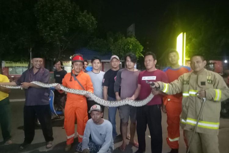 Petugas pemadam kebakaran dan warga mengevakuasi ular sanca sepanjang 5 meter di Cipinang, Jakarta Timur, Jumat (21/6/2019) tengah malam.