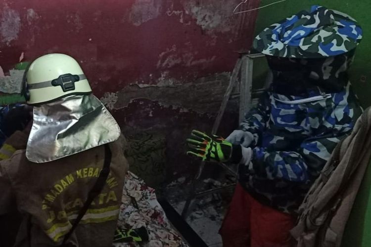 Sarang tawon di rumah warga di Jakarta Timur, Senin (24/6/2019) malam. Petugas pemadam kebakaran berhasil mengevakuasinya dengan terlebih dulu mengenakan pakaian lengkap yang menutupi sekujur tubuh.