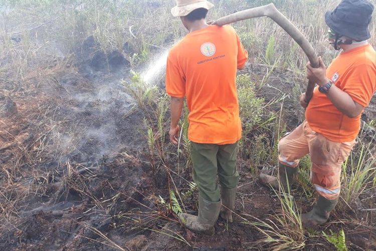 Tim satgas gabungan melakukan pemadaman kebakaran hutan dan lahan di Riau