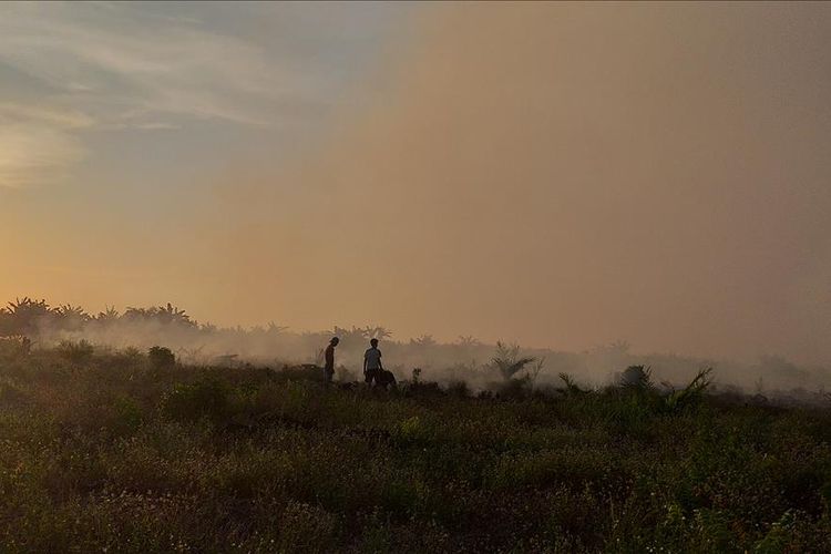 Sejumlah warga memadamkan api karhutla di Desa Teluk Bano II, Kecamatan Pekaitan, Kabupaten Rohil, Riau, Kamis (4/7/2019). 