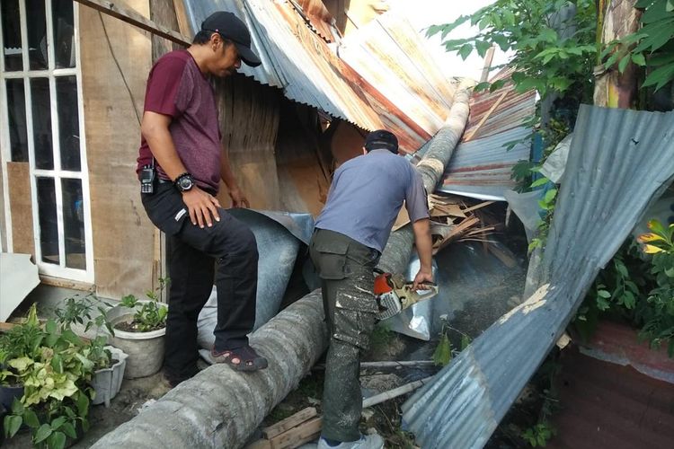 Pohon kelapa tumbang menghancurkan rumah warga di Parak Jigarang, Kuranji, Padang, Sabtu (6/7/2019)