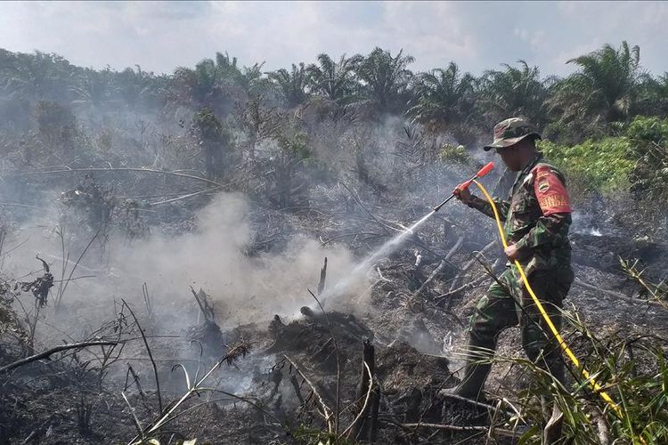 Seorang prajurit TNI memadamkan api karhutla di Desa Parit Baru, Kecamatan Tambang, Kabupaten Kampar, Riau, Rabu (11/7/2019).