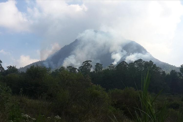 Kepulan asap membumbung akibat kebakaran hutan di Gunung Panderman, Kota Batu, Jawa Timur, Senin (22/7/2019)