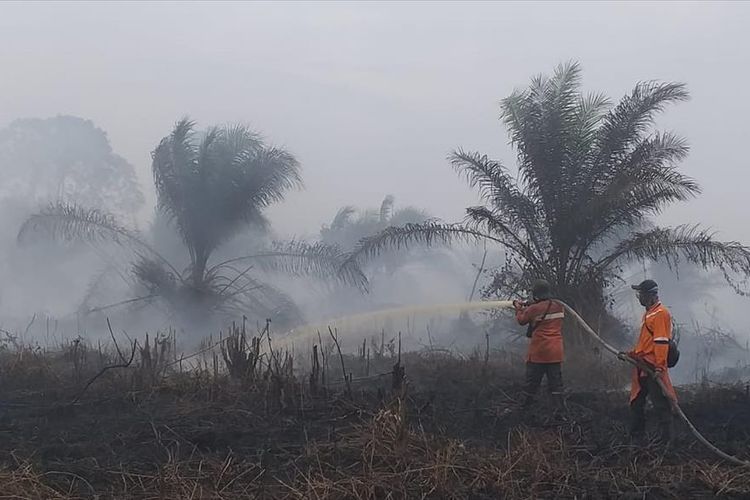 Tim Manggala Agni Daops Siak memadamkan api kebakaran lahan milik perusahaan di Desa Sri Gemilang, Kecamatan Koto Gasib, Kabupaten Siak, Riau, Kamis (25/7/2019).