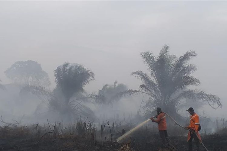 Petugas Manggala Agni memadamkan api kebakaran lahan di Desa Sri Gemilang, Kecamatan Koto Gasib, Kabupaten Siak, Riau, Kamis (25/7/2019).