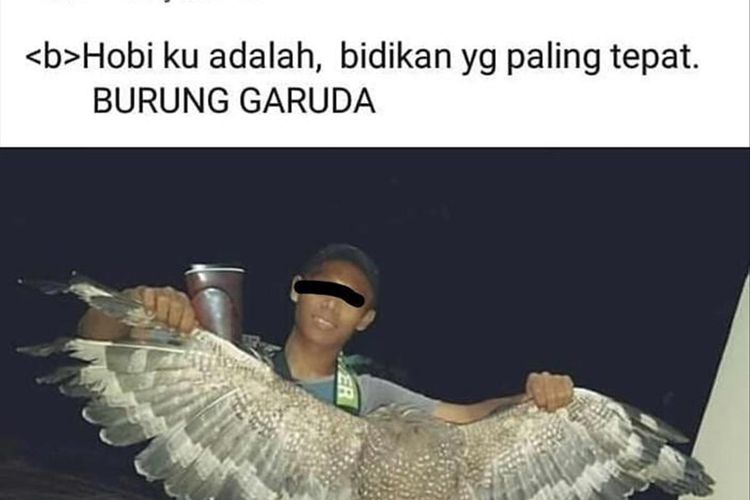 A (17) ditangkap Kepolisian Pandeglang lantaran terbukti menangkap dan mengkonsumsi burung Elang Bido yang dilindungi, Jumat (26/7/2019)