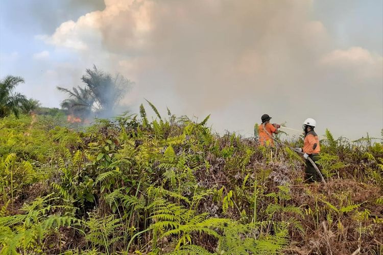 Tim Manggala Agni Daops Siak melakukan pemadaman lanjutan pada kebakaran lahan di Desa Sri Gemilang, Kecamatan Koto Gasib, Kabupaten Siak, Riau, Minggu (28/7/2019). Dok. Manggala Agni Daops Siak