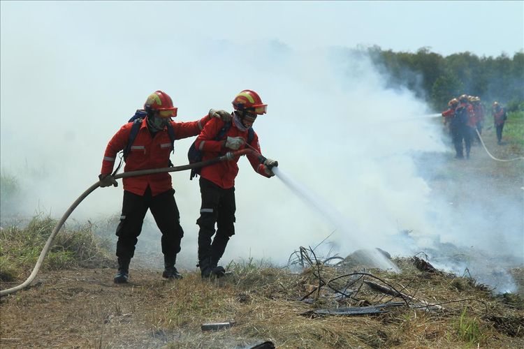 Simulasi penanganan kebakaran hutan dan lahan di APP Sinar Mas Kabupaten OKI, Sumatera Selatan, Selasa (30/7/2019).