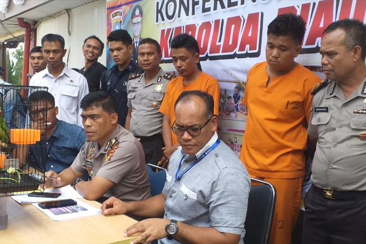 Dit Reskrimsus Polda Riau saat melakukan konferensi pers pengungkapan kasus perdagangan satwa dilindungi di media sosial, Rabu (31/7/2019).