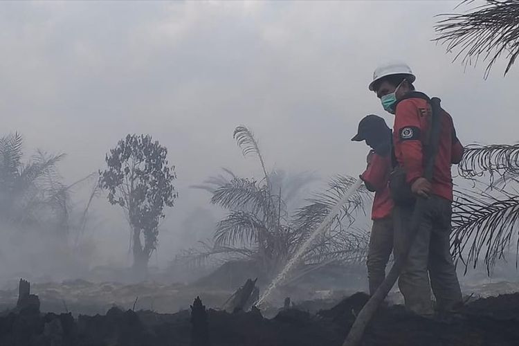Tim Fire Emergency Respon Team PT RAPP melakukan pemadaman karhutla di Desa Dayun, Kecamatan Dayun, Kabupaten Siak, Riau, Minggu (4/8/2019).