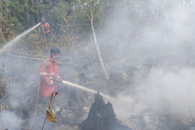 Petugas dari Manggala Agni Daops Siak memadamkan api kebakaran lahan di wilayah Kecamatan Dayun, Kabupaten Siak, Riau, Senin (5/8/2019). Kebakaran gambut dan semak belukar ini mengeluarkan asap yang cukup parah.