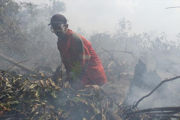 Seorang anggota Manggala Agni Daops Siak memadamkan api dengan mesin pompa air pada kebakaran lahan gambut di Desa Dayun, Kecamatan Dayun, Kabupaten Siak, Riau, Senin (5/8/2019).