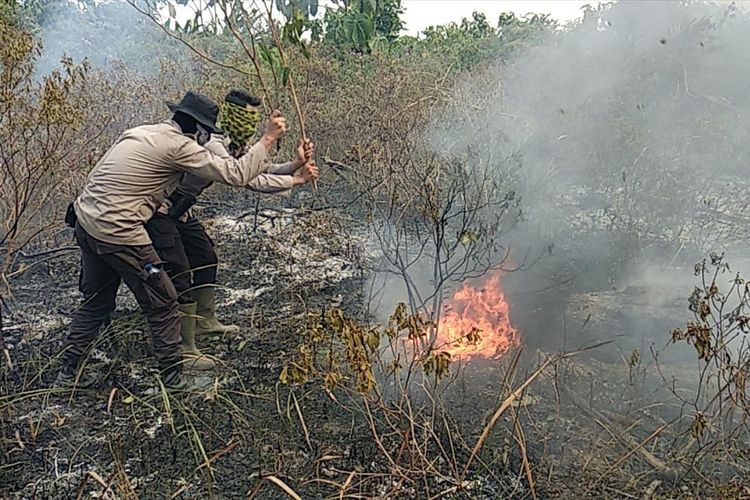 Personel Polres Pelalawan memadamkan api dengan menggunakan kayu karena tidak ada air pada kebakaran di kawasan TNTN di Kabupaten Pelalawan, Riau, Kamis (8/8/2019). Dok. Polres Pelalawan