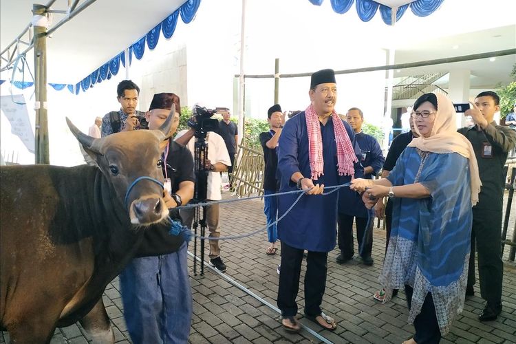 Deputi Gubernur Senior Bank Indonesia (BI) Destry Damayanti menyerahkan satu ekor sapi kurban kepada panitia penyembelihan di Kompleks Gedung BI, Jakarta, Minggu (11/8/2019).