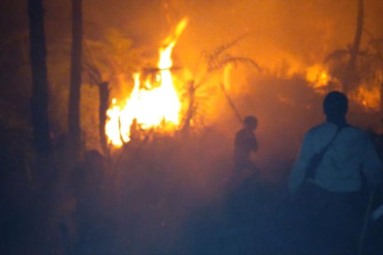 Warga bersama pihak terkait memadamkan api yang membakar hutan di sebelah utara Desa Penanggunhan, Kecamatan Wanayasa, Kabupaten Banjarnegara, Jawa Tengah, Minggu (11/8/2019) malam.