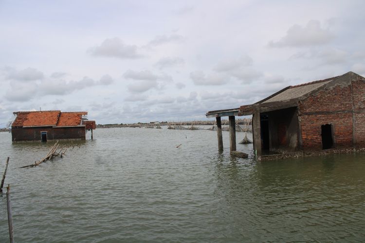 Rumah yang tenggelam karena rob di wilayah Demak, Jawa Tengah