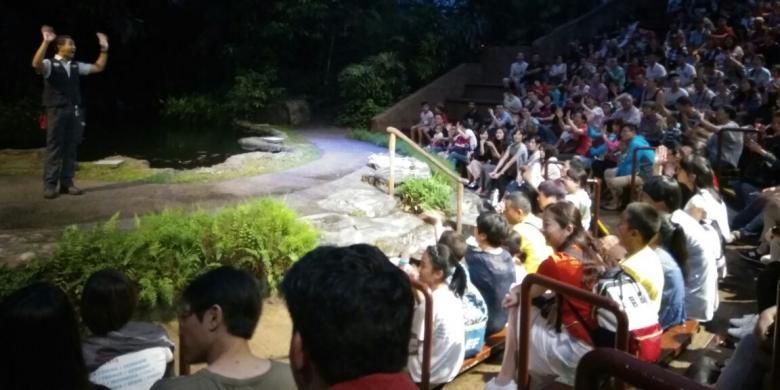 Lebih Dekat dengan Hewan Nokturnal di Night Safari Singapura
