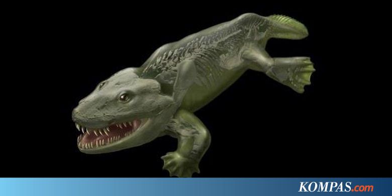 Hewan Darat Pertama Bergerak Seperti Anjing Laut Hewan Darat Pertama Bergerak Seperti Anjing Laut