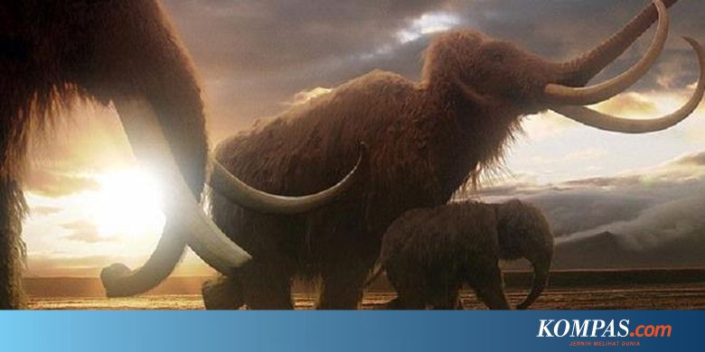 24 Jenis Hewan Akan Dibangkitkan Dari Kepunahan