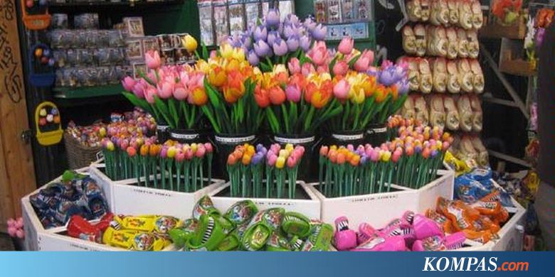  Gambar  Bunga Tulip Yang  Belum  Diwarnai  GAMBAR  BUNGA