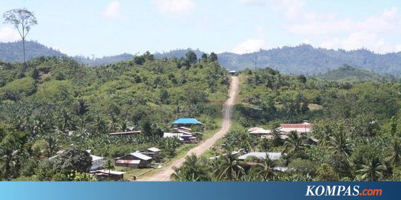 Sebatik Pasarkan Kelapa Sawit ke Malaysia - Kompas.com