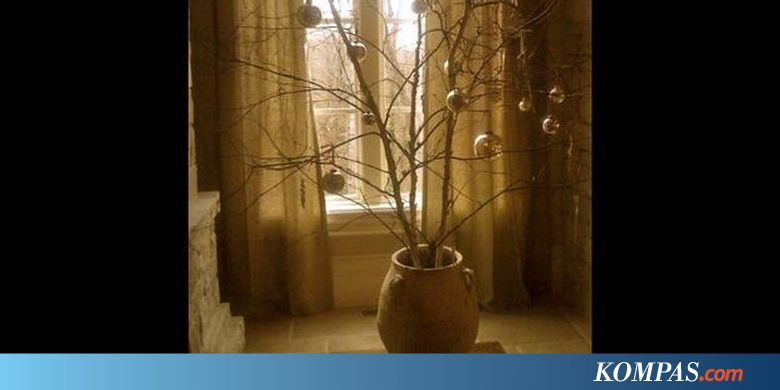 70 Gambar Mewarnai Ranting Pohon Terlengkap Hoganig