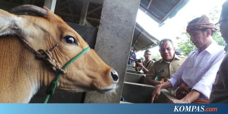 "Jangan Menipu Rakyat NTT dengan Pencitraan"