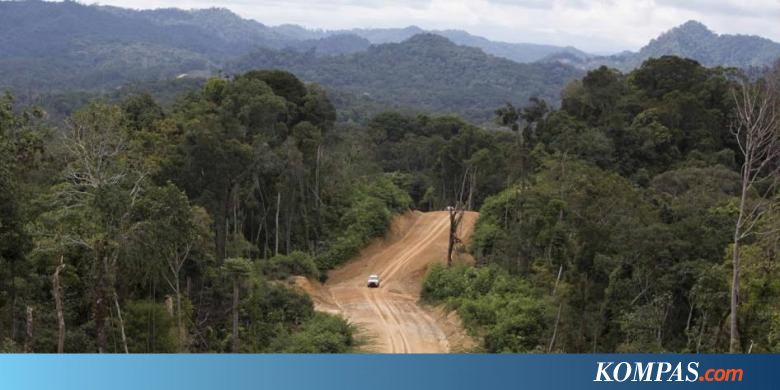 Kisah Empat Hari Tersesat di Pedalaman Rimba Perbatasan 