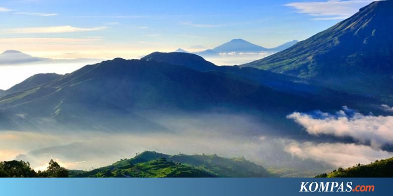 Hutan Gunung Sindoro Terbakar Kompas com
