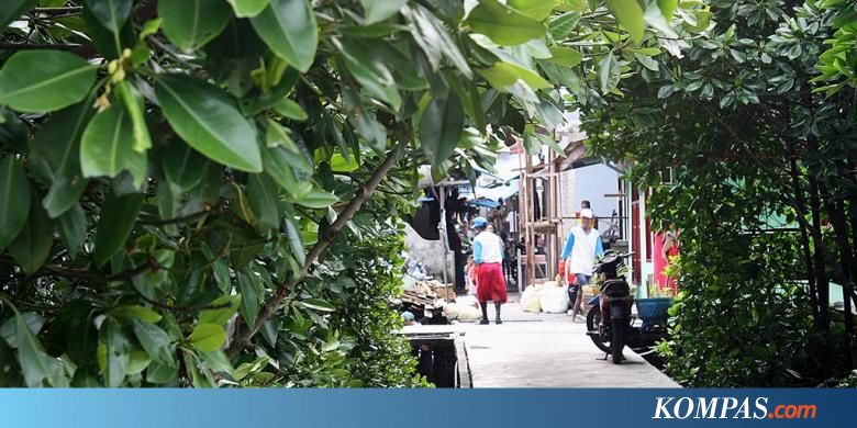 Kampung Atas Air Balikpapan, Dulu Kumuh Sekarang Asri