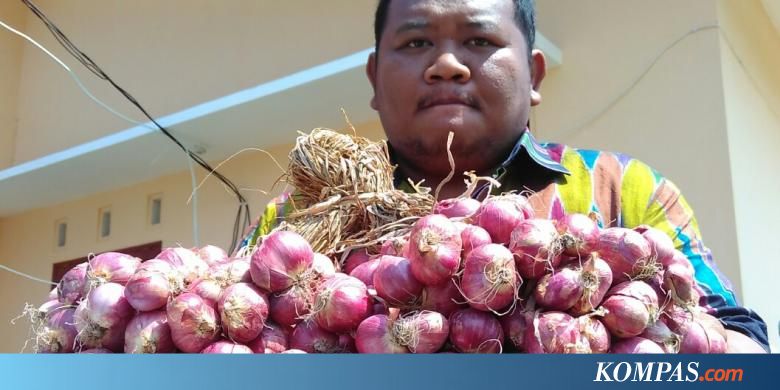 Indonesia Stop Impor Bawang Merah - Kompas.com