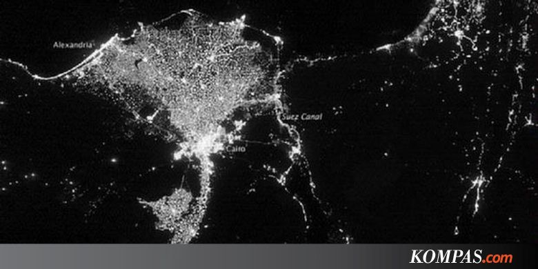 20+ Koleski Terbaru Sketsa Gambar Hewan Malam Hari - Tea ...