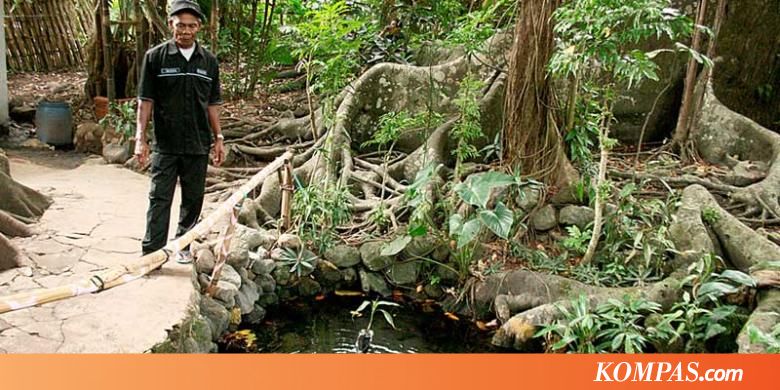  Ikan  Dewa  dari Ciremai
