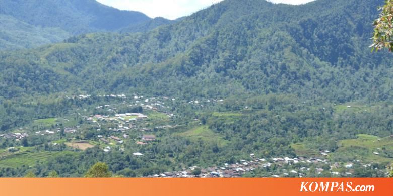 Menjelajahi Perkebunan Kopi Colol di Flores