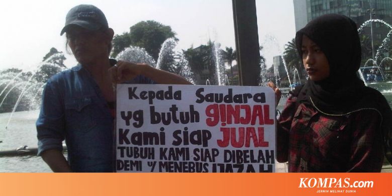 Unduh 44 Gambar Ginjal Yang Dibelah Keren 