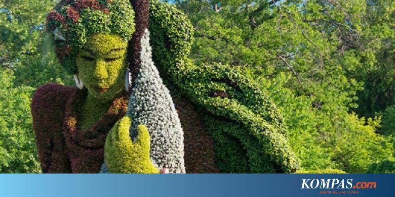 54 Gambar 2 Dimensi Tumbuhan Gambar Pixabay