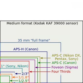 Perbandingan ukuran sensor gambar yang biasa dipakai di produk-produk kamera digital.