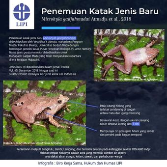 Infografis katak baru