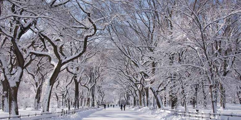Central Park, New York, Amerika Serikat saat musim dingin.
