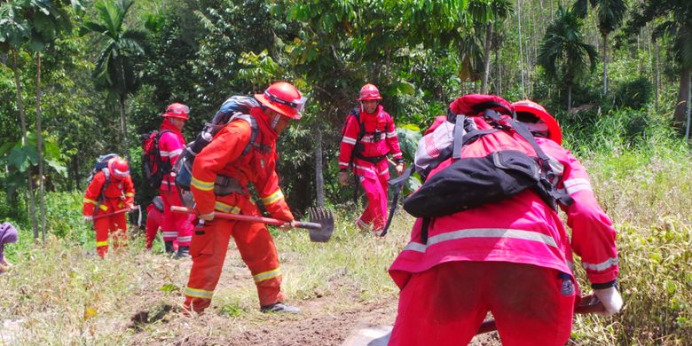 Fire Operation Management PT Wirakarya Sakti membuat sekat bakar untuk menghindari api menjalar dalam simulasi latihan di Sungai Tapah, Kabupaten Tanjung Jabung Barat, Jambi, Kamis (3/5/2018).
