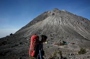 Balai Taman Nasional Merapi Imbau Warga Lapor jika Ada Satwa Keluar Kawasan