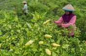Harga Energi dan Cabai Dorong Inflasi Maret 2018