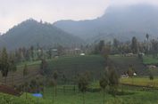Merawat Ranupani Lereng Gunung Semeru dari Kepunahan