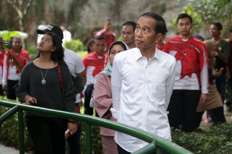 Presiden Republik Indonesia, Joko Widodo beserta istri serta dua anaknya berlibur ke Kebun Binatang Ragunan, Jakarta, Kamis (29/6/2017). Dalam liburannya ini Joko Widodo dan keluarga terlihat menyambangi Pusat Primata Schmutzer.