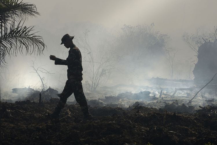 Seorang penjaga hutan memeriksa kebakaran hutan gambut di Meulaboh, Aceh, Rabu (26/7/2017). Badan Meteorologi, Klimatologi, dan Geofisika (BMKG) Aceh menyebutkan 49 titik panas terpantau oleh satelit berada di delapan wilayah di Aceh sehingga menyebabkan bencana kabut asap hampir merambah 23 kabupaten/kota di Aceh.