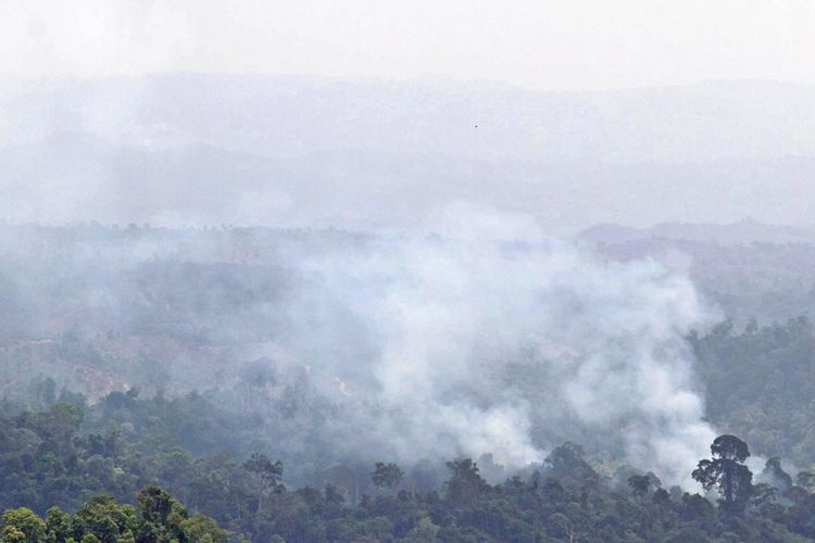 Kepulan asap dari pembakaran hutan untuk membuka lahan perkebunan di dataran tinggi Nisam Antara, Aceh Utara, Aeh, Minggu (30/7/2017). Badan Meteorologi, Klimatologi, dan Geofisika (BMKG) Aceh menyebutkan 49 titik panas terpantau oleh satelit berada di delapan wilayah di Aceh sehingga menyebabkan bencana kabut asap hampir merambah 23 kabupaten/kota di Aceh.