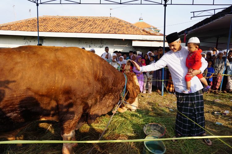 Gubernur Jateng menyerahkan sapi Simental kepada pengurus masjid di Kabupaten Pekalongan, Jumat (1/9/2017)