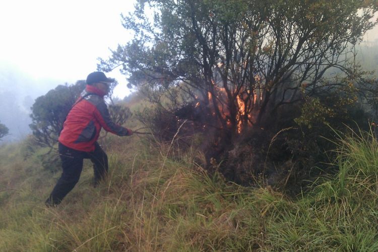 Petugas Balai Besar Taman Nasional Bromo Tengger Semeru (TNBTS) saat berusaha memadamkan api yang membakar hutan di kawasan Gunung Bromo, Jawa Timur.