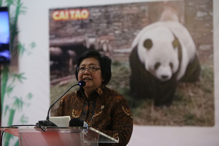 Menteri Lingkungan Hidup dan Kehutanan Siti Nurbaya Bakar memberikan sambutan saat acara penyambutan kedatangan sepasang panda (Ailuropada melanoleuca) hasil pengembangbiakan China Wildlife Conservation Association (CWCA) dengan nama Cai Tao (jantan) dan Hu Chun (betina) di Terminal Kargo Bandara Soekarno-Hatta, Tangerang, Banten, Kamis (28/9/2017). Indonesia secara resmi menjadi negara ke-16 di dunia dan negara ke-4 di Asia Tenggara yang mendapatkan peminjaman pengembangbiakan Giant Panda.