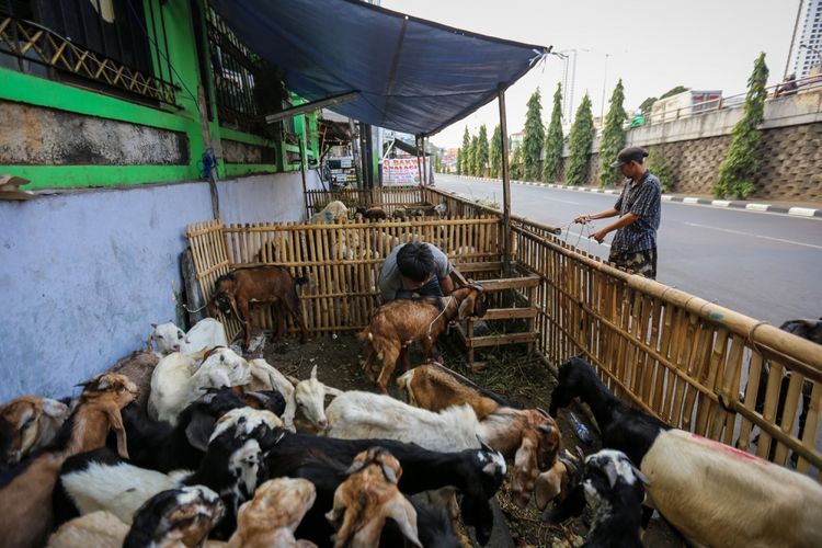 Dishub Kota Bekasi Imbau Penjual Hewan Kurban Tak 